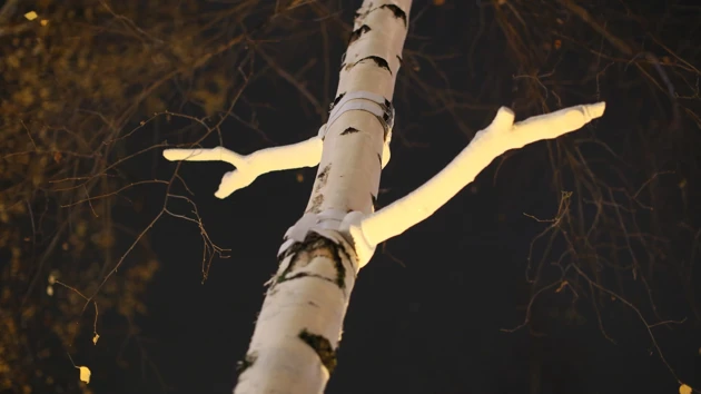 Ljusinstallation