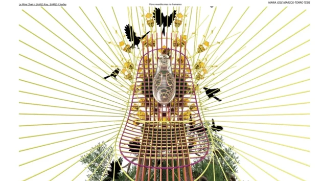 Illustration by lecturer – lines, birds, plants