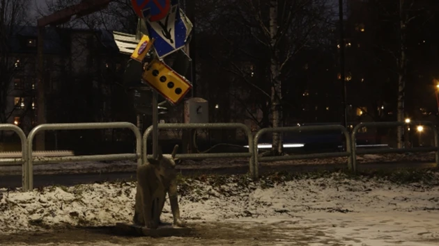 Ljusinstallation