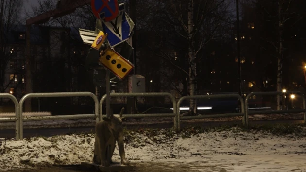 Ljusinstallation